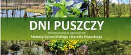 Dni Puszczy - plakat