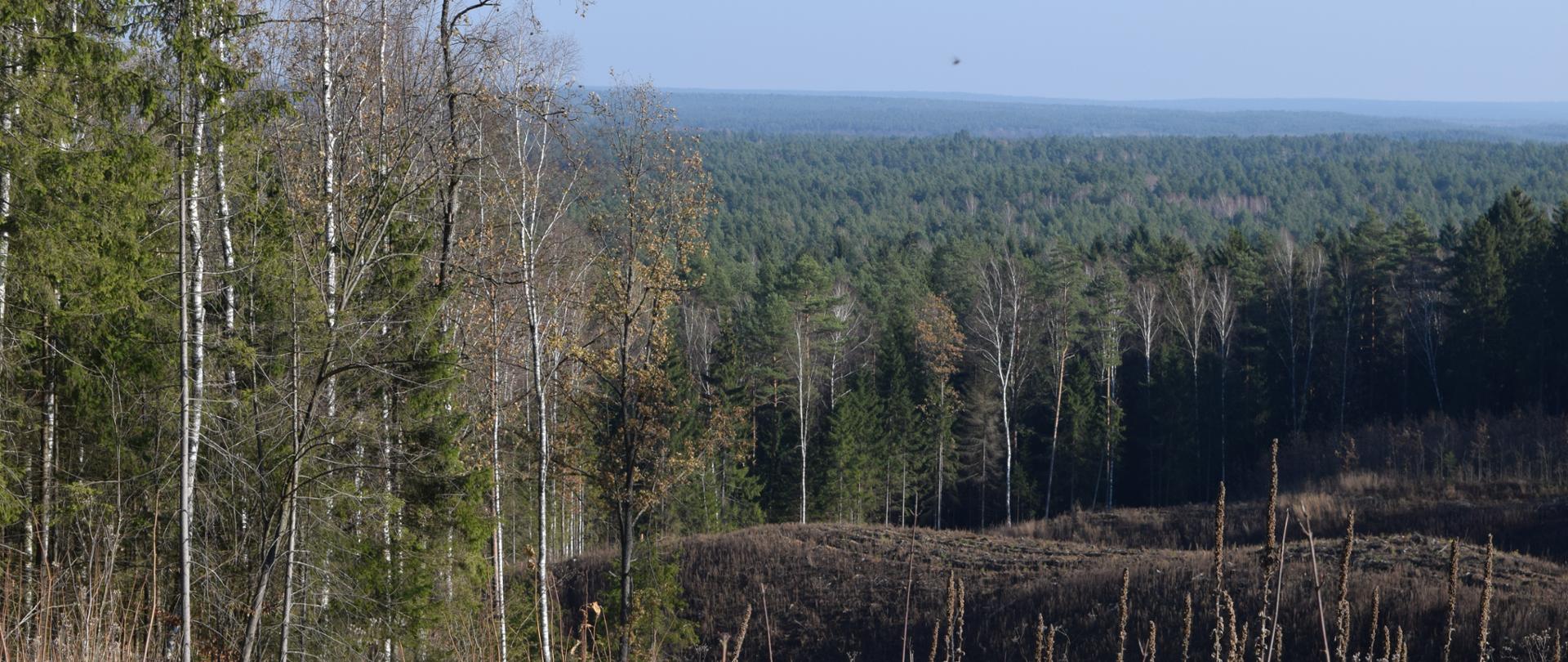 Wzgórza Świętojańskie w gm. Michałowo