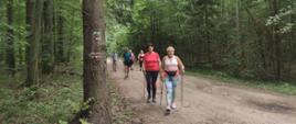 Uczestnicy maszerują trasą nordic walking