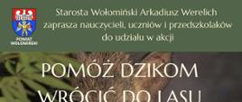 plakat Pomóż Dzikom wrócić do lasu