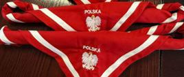 Powiat Ostrowiecki na międzynarodowej mapie skautingu!