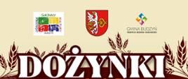 Dożynki Gminne 2025
