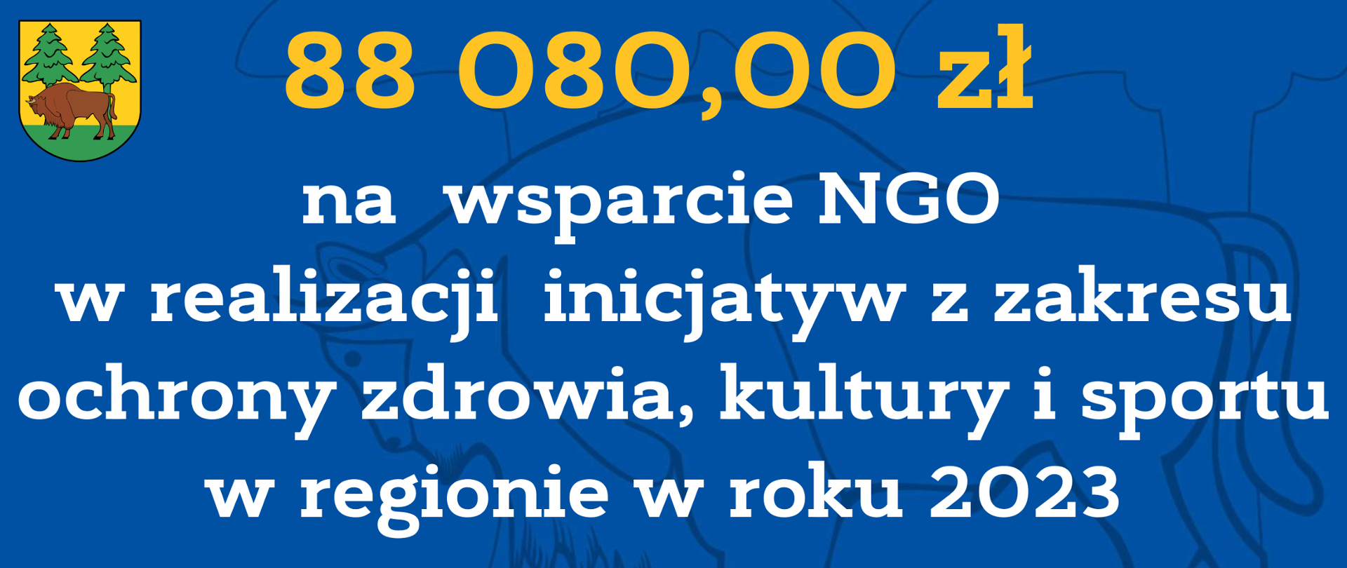 88 080,00 zł na wsparcie NGO w realizacji inicjatyw z zakresu ochrony zdrowia, kultury i sportu w regionie w roku 2023
