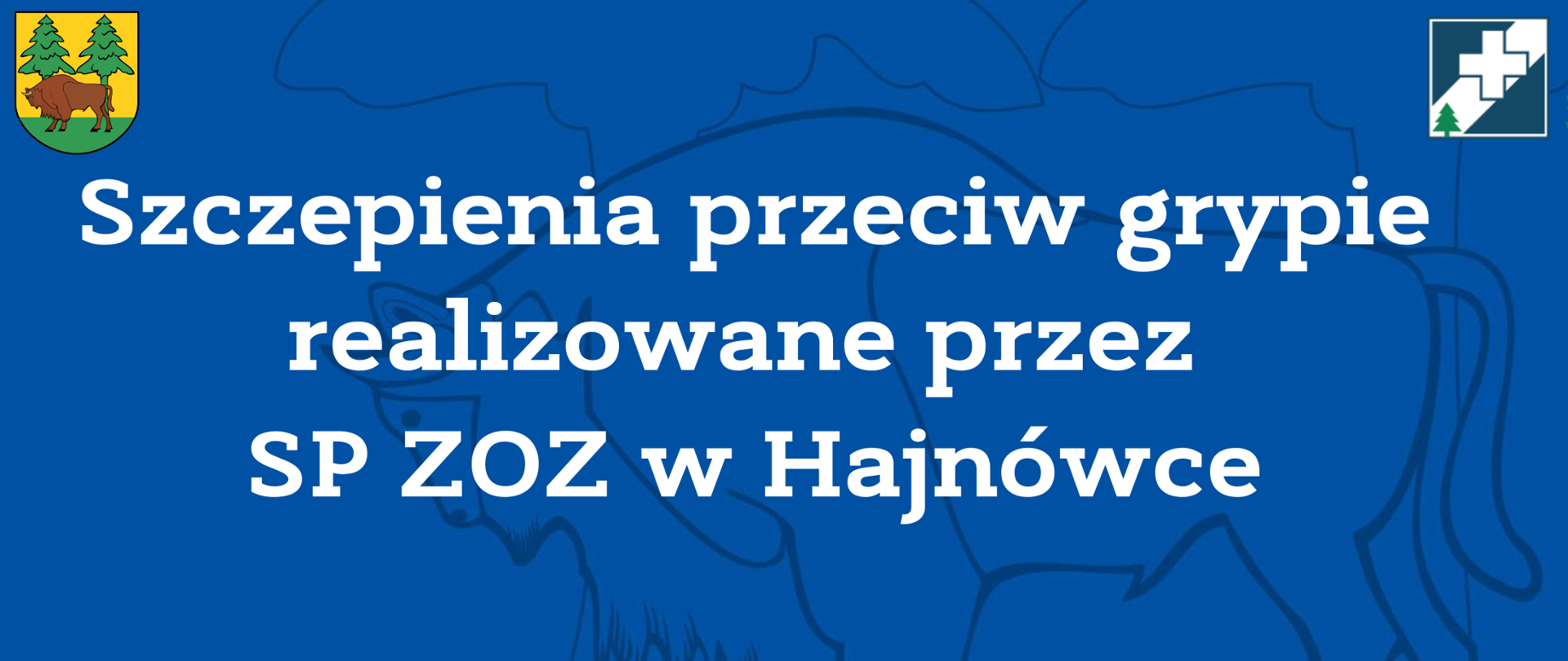 Szczepienia przeciw grypie realizowane przez SP ZOZ w Hajnówce