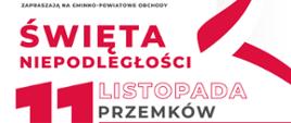 plakat zapraszający na święto niepodległości 11 listopada w powiecie polkowickim