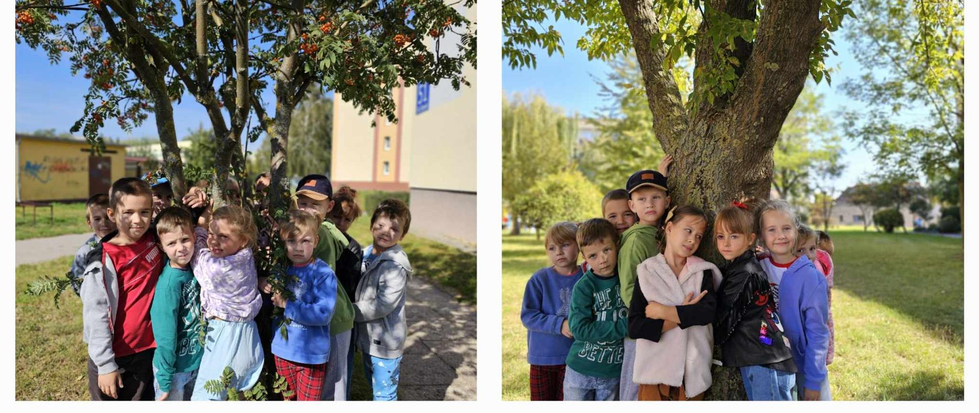 Przytul się do drzewa
