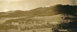 Zdjęcie archiwalne, przedstawiające widok na winiarnię