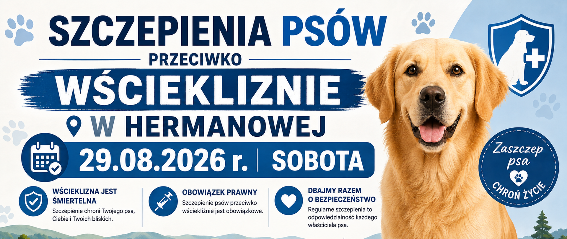 Panoramiczna grafika informacyjna w biało-niebieskiej kolorystyce promująca szczepienia psów przeciwko wściekliźnie w Hermanowej 29 sierpnia 2026 r. (sobota). Po prawej stronie znajduje się golden retriever, a na plakacie widoczne są informacje o śmiertelności wścieklizny, obowiązku prawnym szczepienia, ochronie ludzi i zwierząt oraz konieczności corocznego szczepienia.