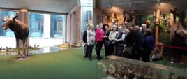 Uczestnicy klubu senior+ w Uniwersyteckim Centrum Przyrodniczym na tle wystawy zwierząt 