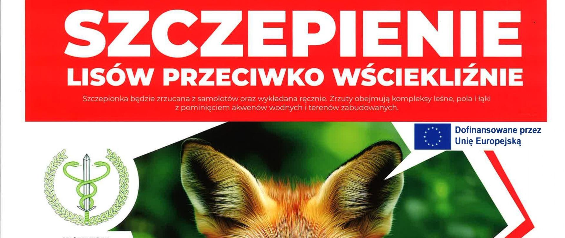 SZCZEPIENIE LISÓW PRZECIWKO WŚCIEKLIŹNIE! Szczepionka będzie zrzucana z samolotów oraz wykładana ręcznie. Zrzuty obejmują kompleksy leśne, pola i łąki z pominięciem akwenów wodnych i terenów zabudowanych. 27-31 maja 2026 r. 