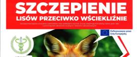 SZCZEPIENIE LISÓW PRZECIWKO WŚCIEKLIŹNIE! Szczepionka będzie zrzucana z samolotów oraz wykładana ręcznie. Zrzuty obejmują kompleksy leśne, pola i łąki z pominięciem akwenów wodnych i terenów zabudowanych. 27-31 maja 2026 r. 