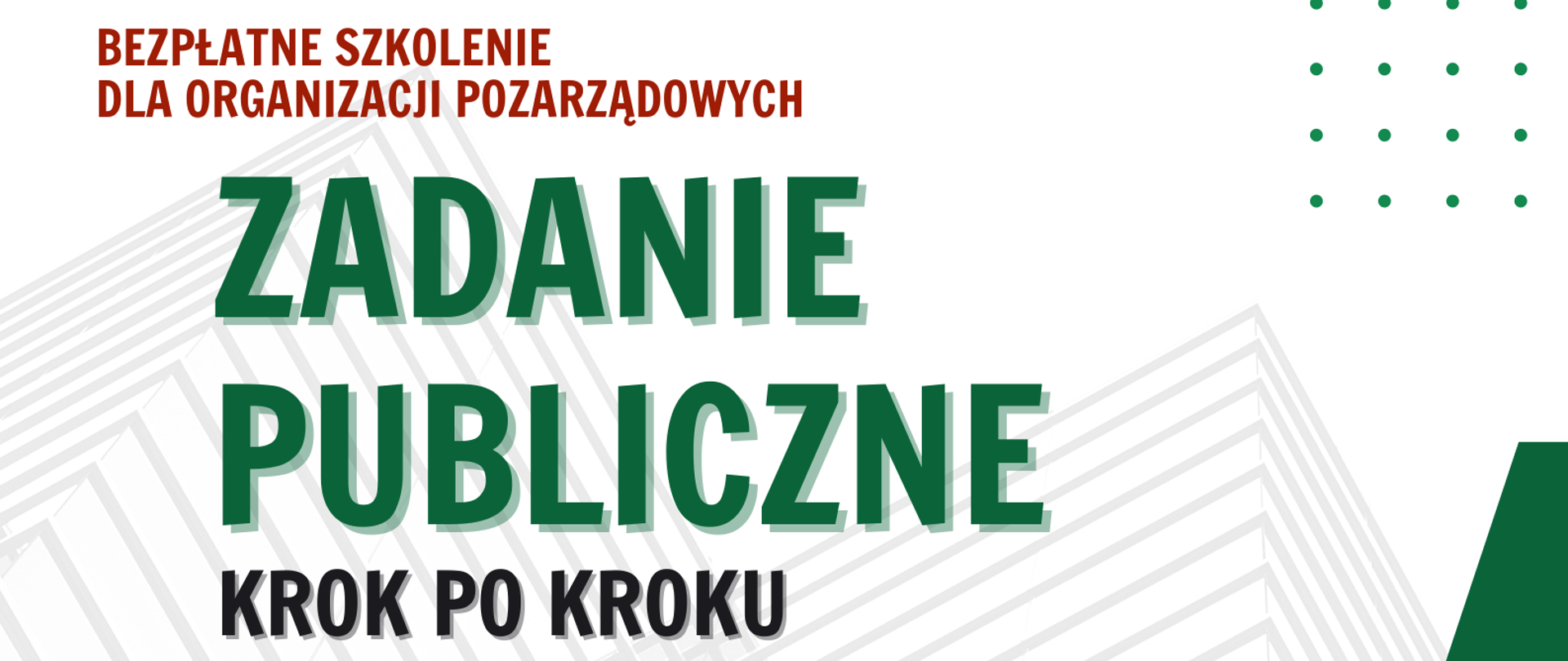 Szkolenie NGO