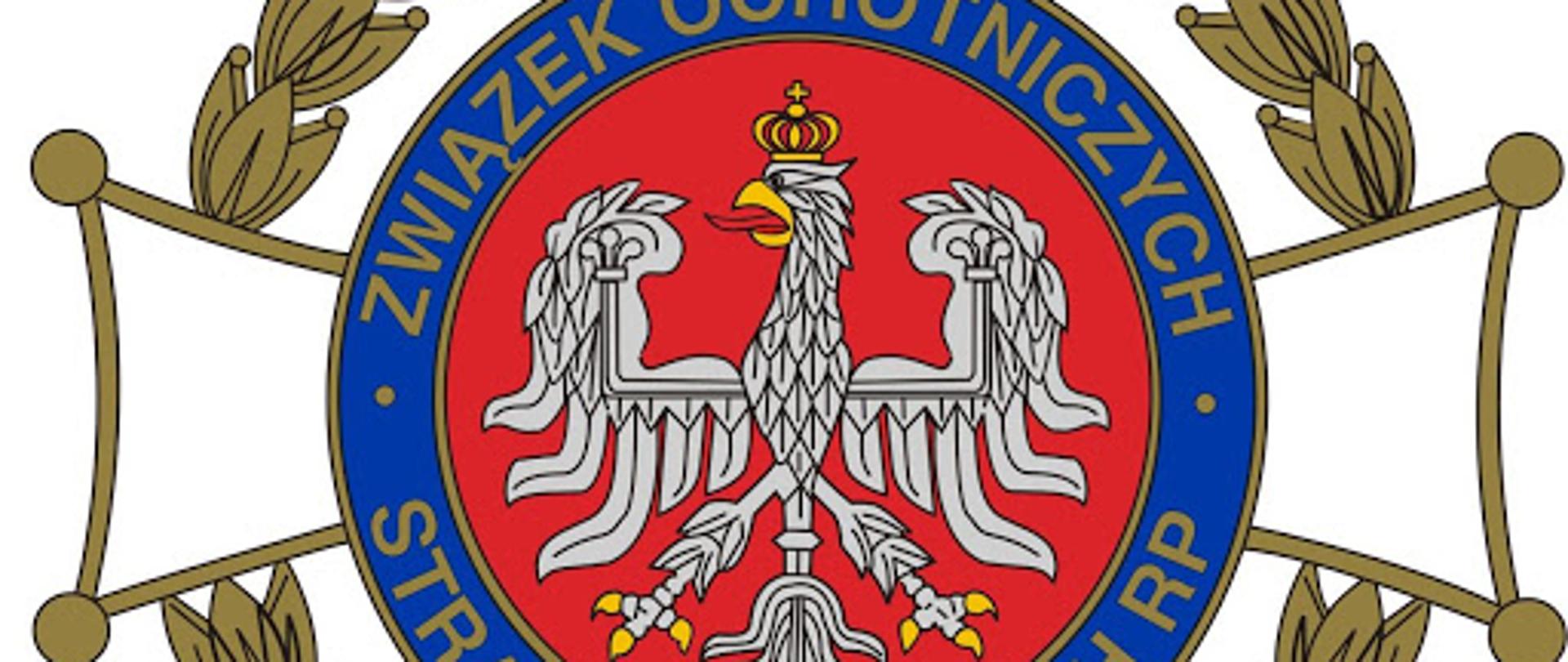 Logo ZOSP RP