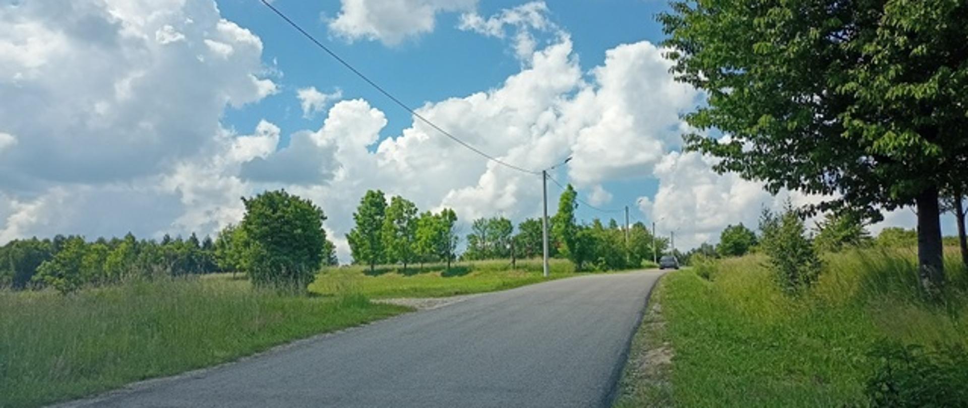 widoczna droga asfaltowa słupy elektryczne oświetlenia ulicznego po lewej i prawej łąka i drzewa niebo niebieskie z białymi pierzastymi chmurami 