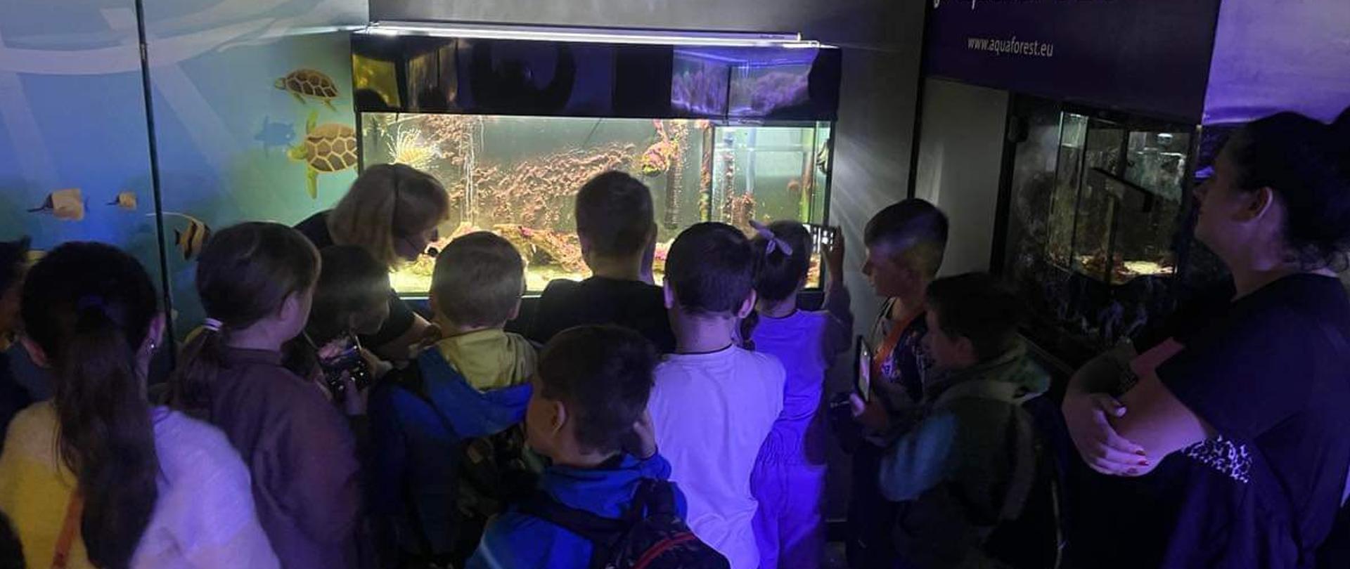 Wycieczka do ,Kompleksu Świętokrzyska Polana"