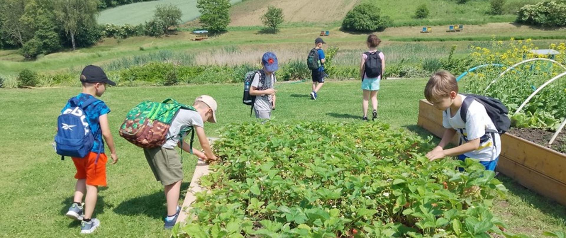 Wycieczka do gospodarstwa agroturystycznego „Pszczółki” znajdującego się w Niezwojowicach 