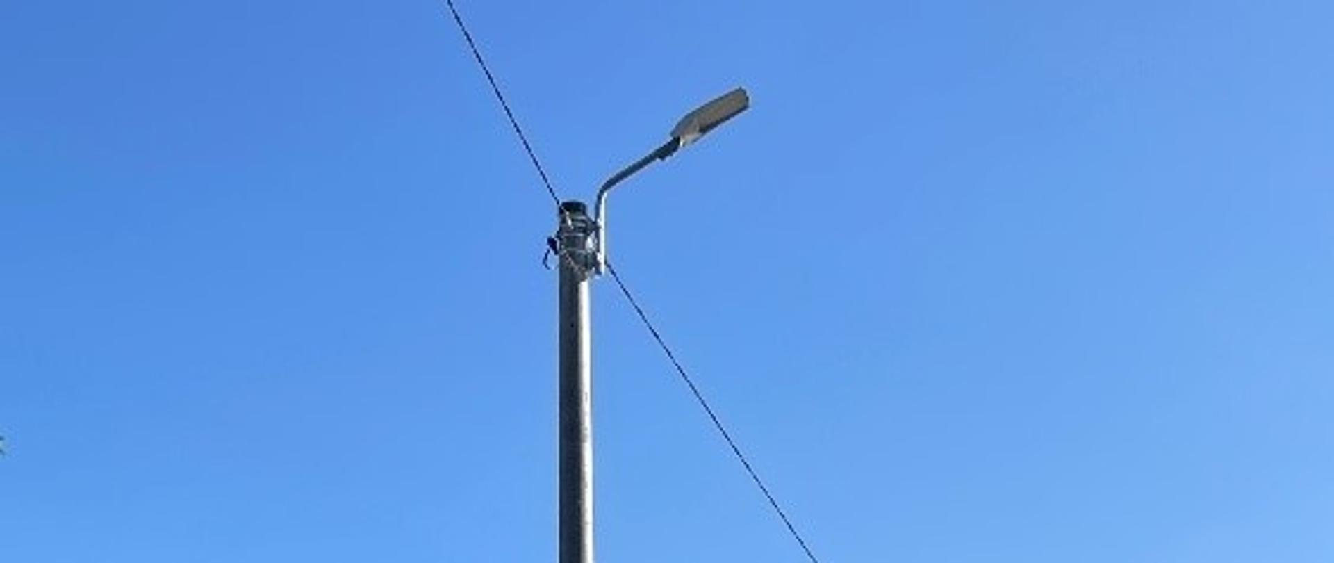 Nowa latarnia w miejscowości Dudowizna, obok płot, dalej las.