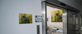 Pawilon D nowo oddana część SPZZOZ w Pruszkowie - Fotorelacja - trakt porodowy