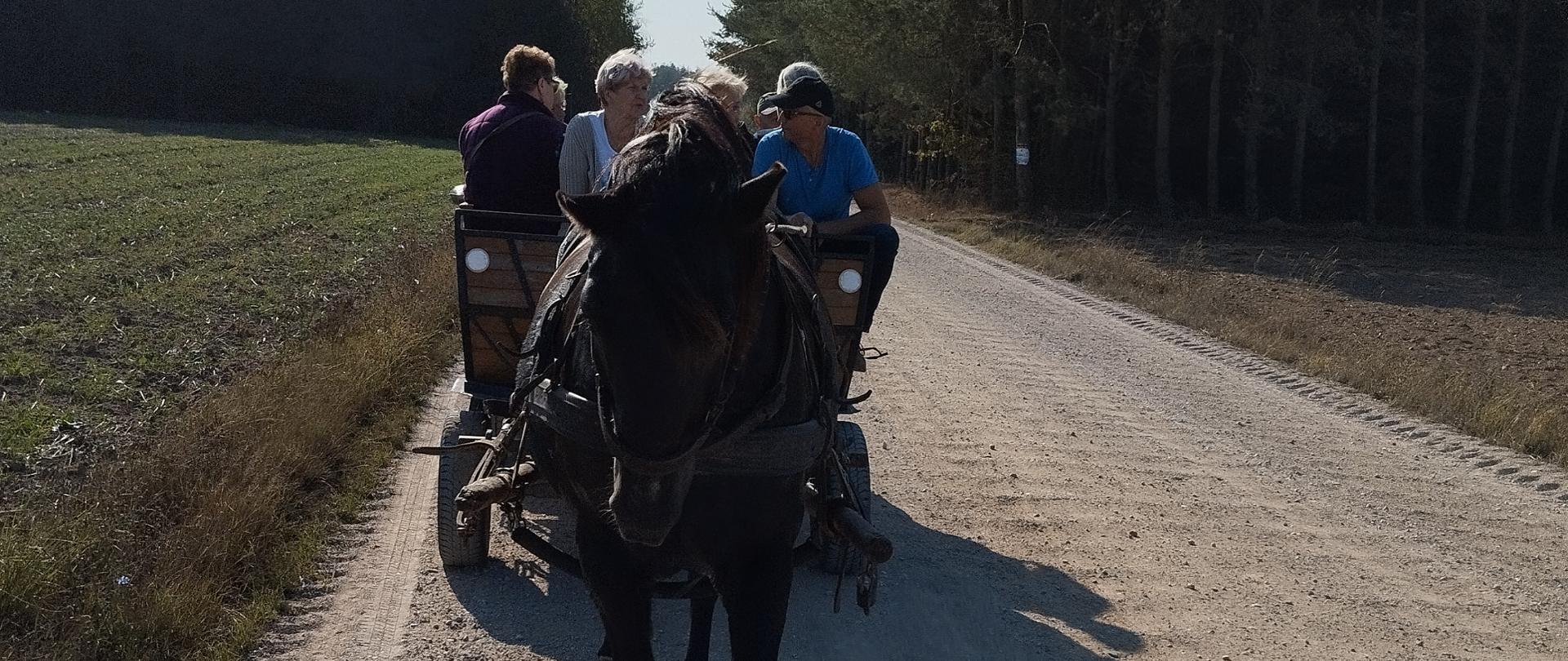 Członkowie Klubu senior+, jadący bryczką