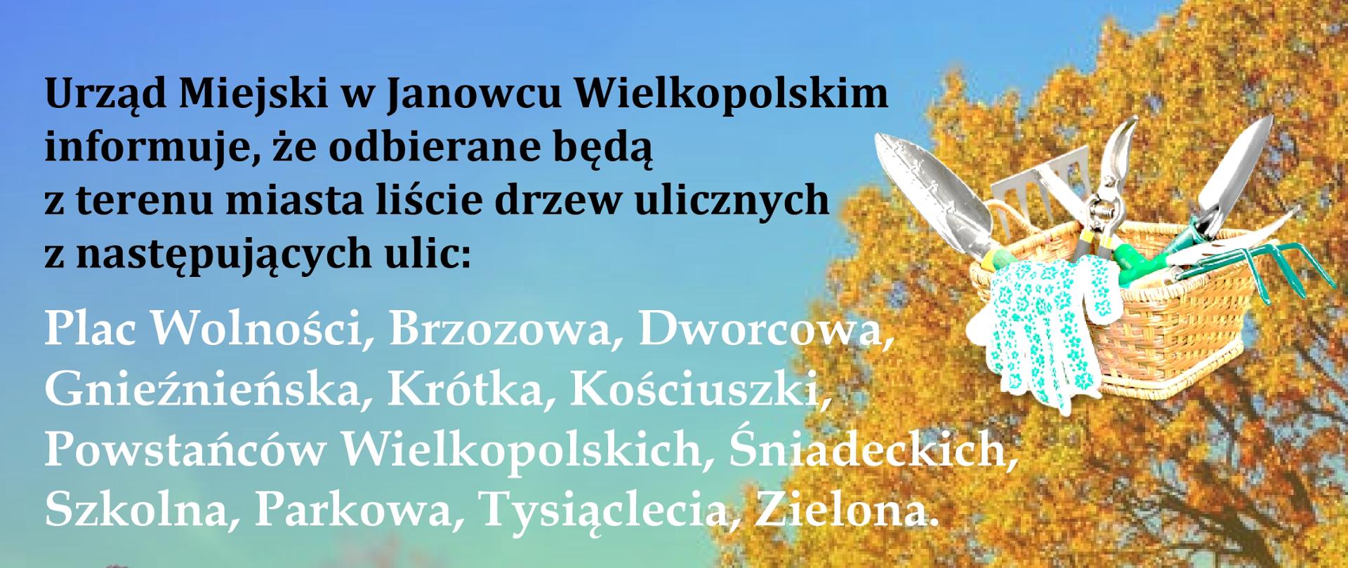 Zbiórka liści