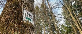 Szlak zielony namalowany na drzewie