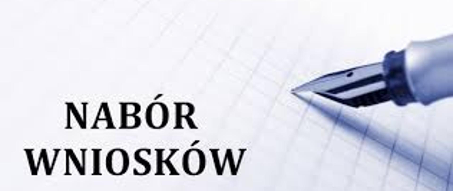 Grafika wnioski