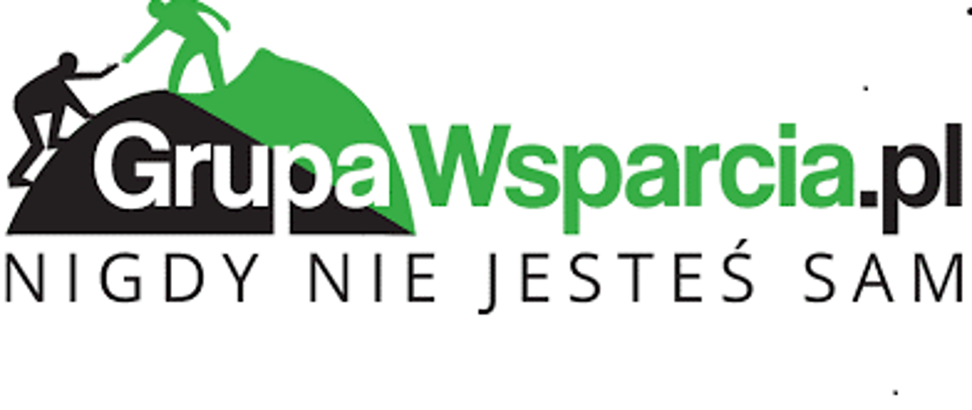 Wsparcie logo