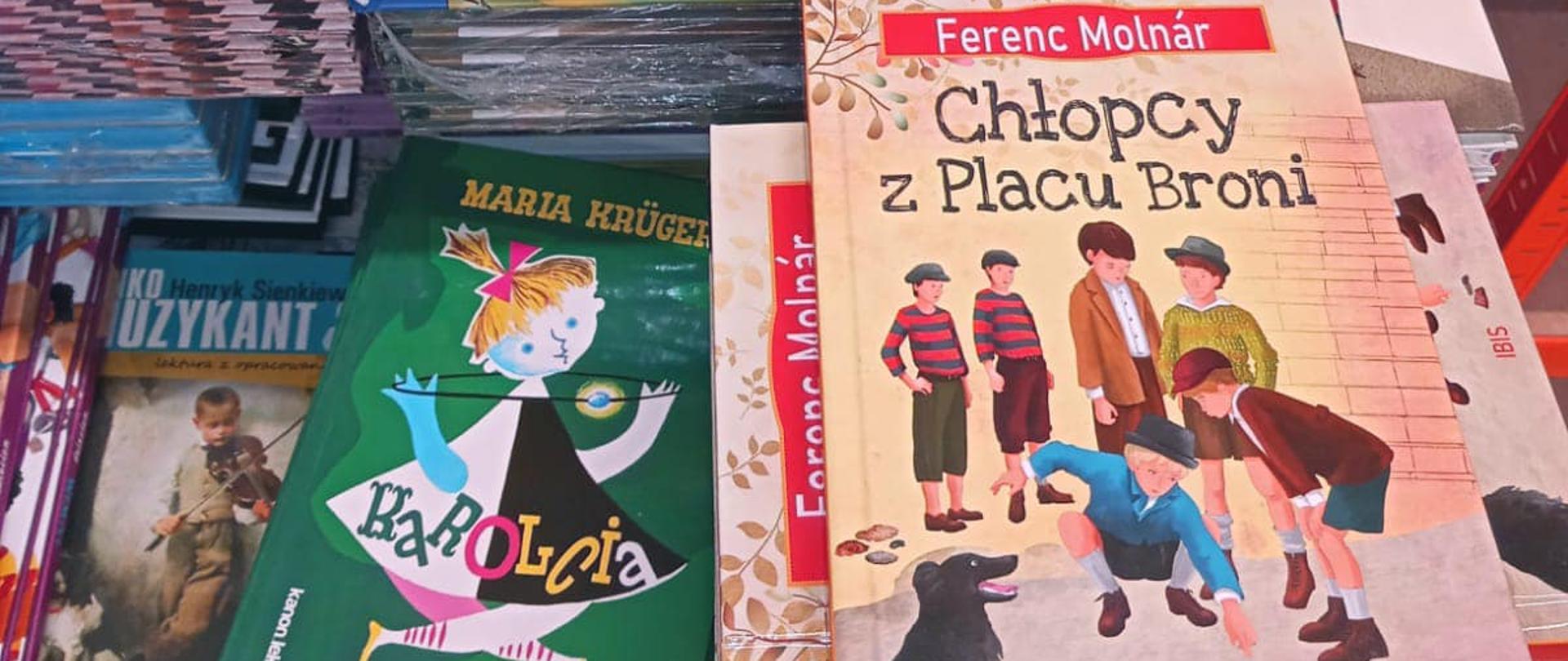 Książki w szkole podstawowej w Nowym Chechle