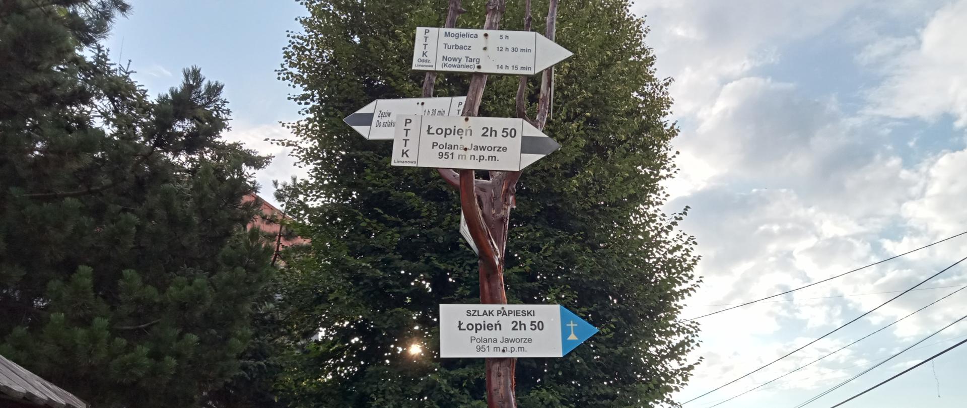 Szlak