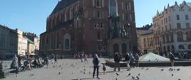 Na zdjęciu Kościół Mariacki w Krakowie