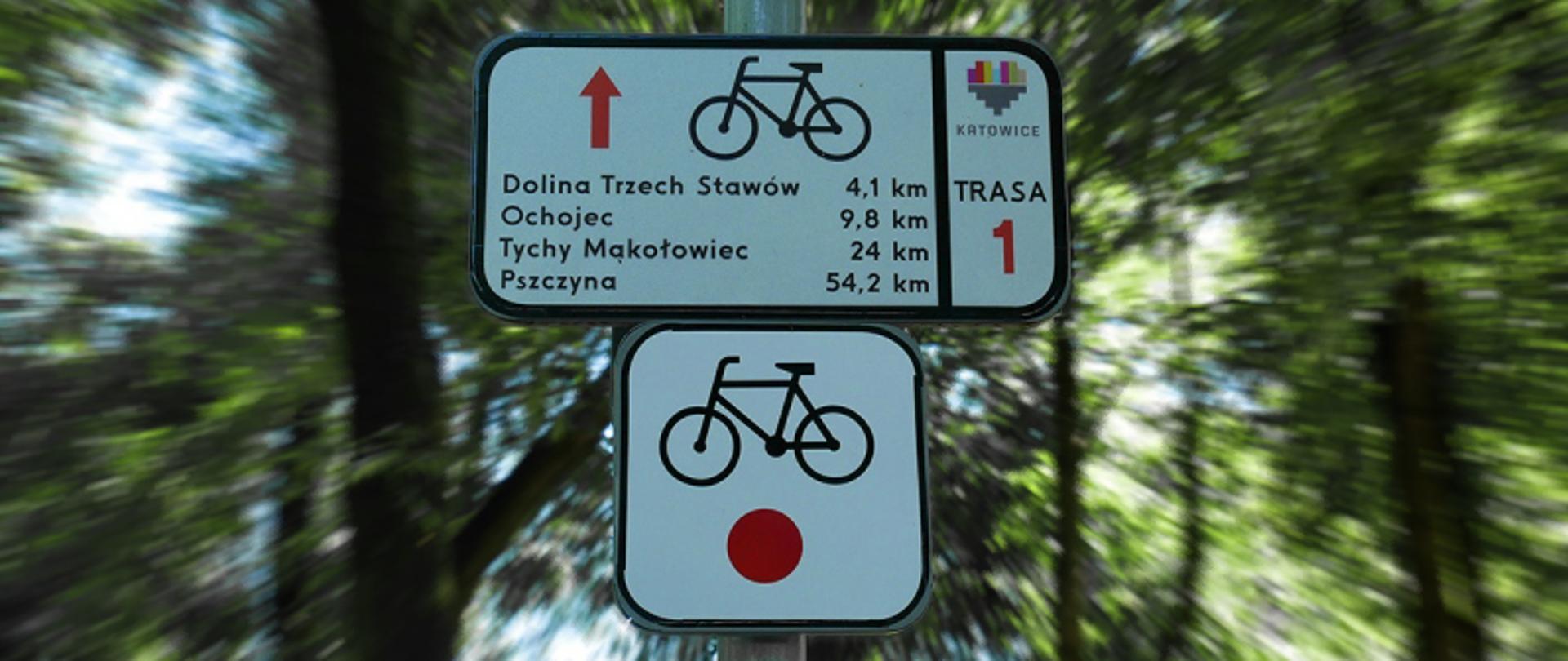 Tabliczki z symbolem roweru pokazujące kolor i kierunek trasy rowerowej, w tle rozmyte drzewa