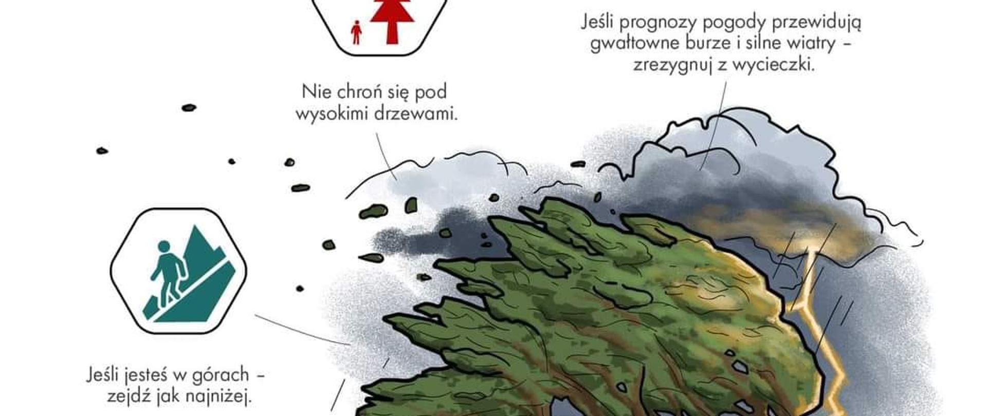 Jak załapie Cię burza - co robić. Na białym tle w centralnym miejscu obraz drzewa targanego przez burzę, wokół opis niepożądanych zachowań. U dołu numery alarmowe, logo Lasów Państwowych.