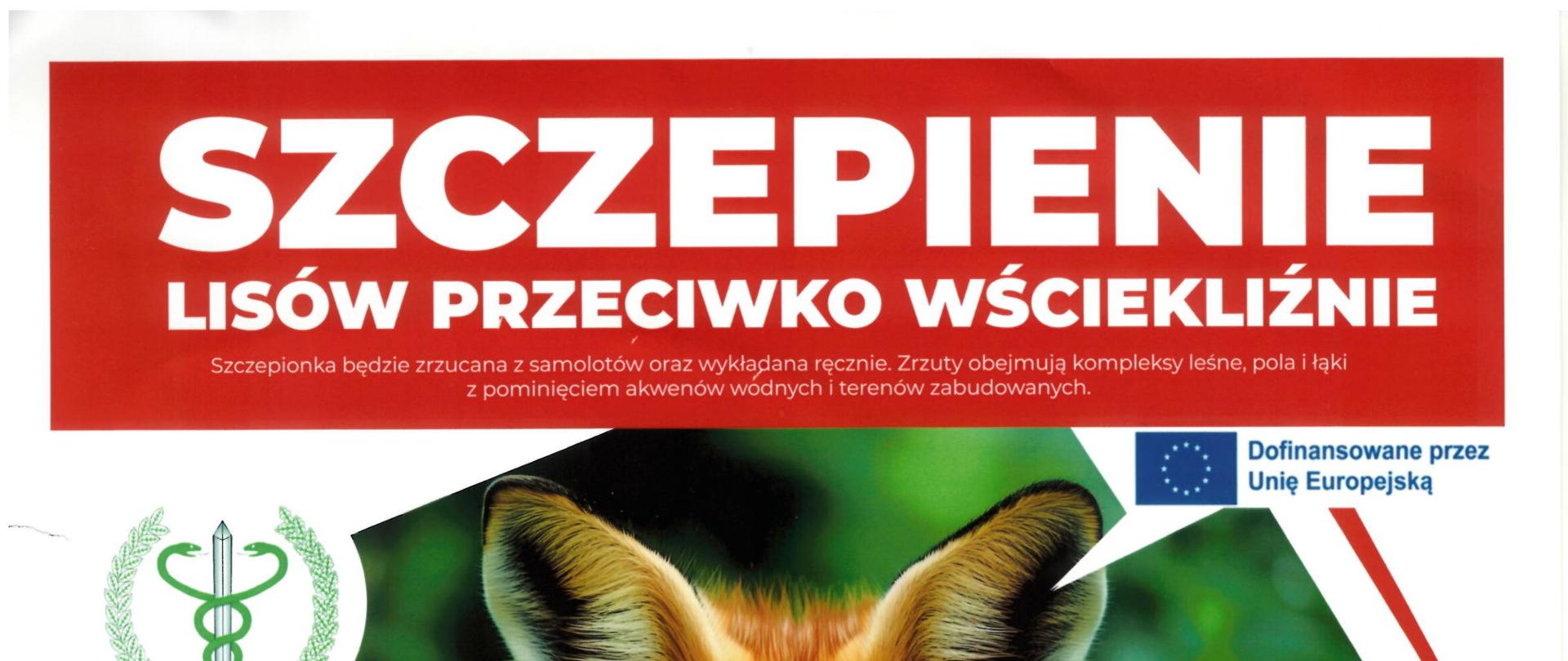 szczepienie lisów