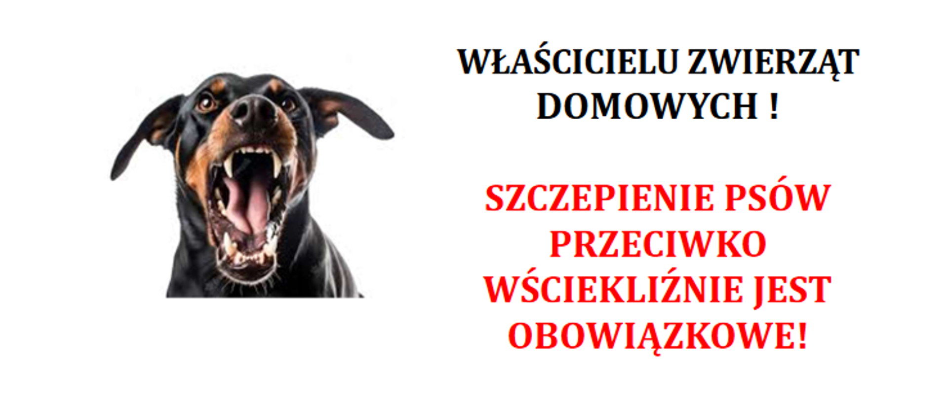 Komunikat Powiatowego Lekarza Weterynarii