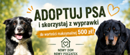 Plakat w zielono-pomarańczowej kolorystyce przedstawia dwa psy na tle rozmytej łąki – po lewej czarno-białego uśmiechniętego psa, po prawej czarnego psa z podpalanymi znaczeniami. Pomiędzy nimi umieszczono duży nagłówek oraz logo programu. Niżej znajdują się sekcje z ikonami, piktogramami i krótkimi blokami tekstu, a całość uzupełniają grafiki serc i odcisków psich łap.