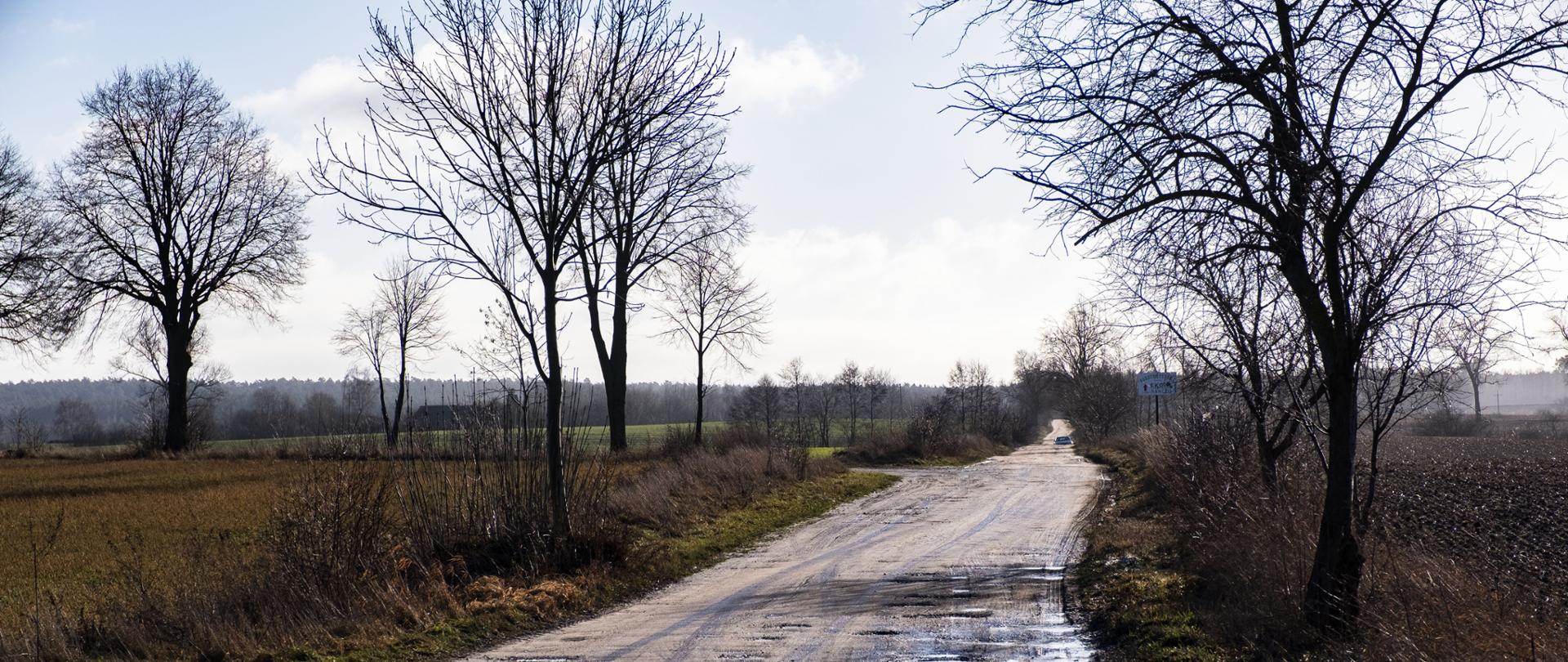 droga pośród pól o nawierzchni utwardzonej tłuczniem z widocznymi dziurami wypełnionymi wodą, przy drodze kilka drzew i krzewów