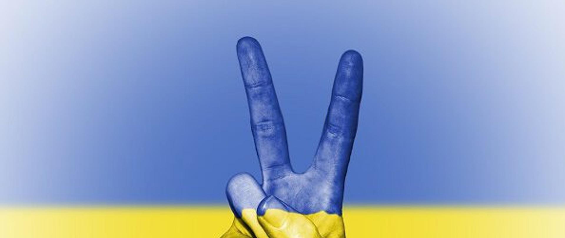 Ręka pomalowana na niebiesko i żółto. Dwa palce ułożone w symbol V na tle flagi Ukrainy.