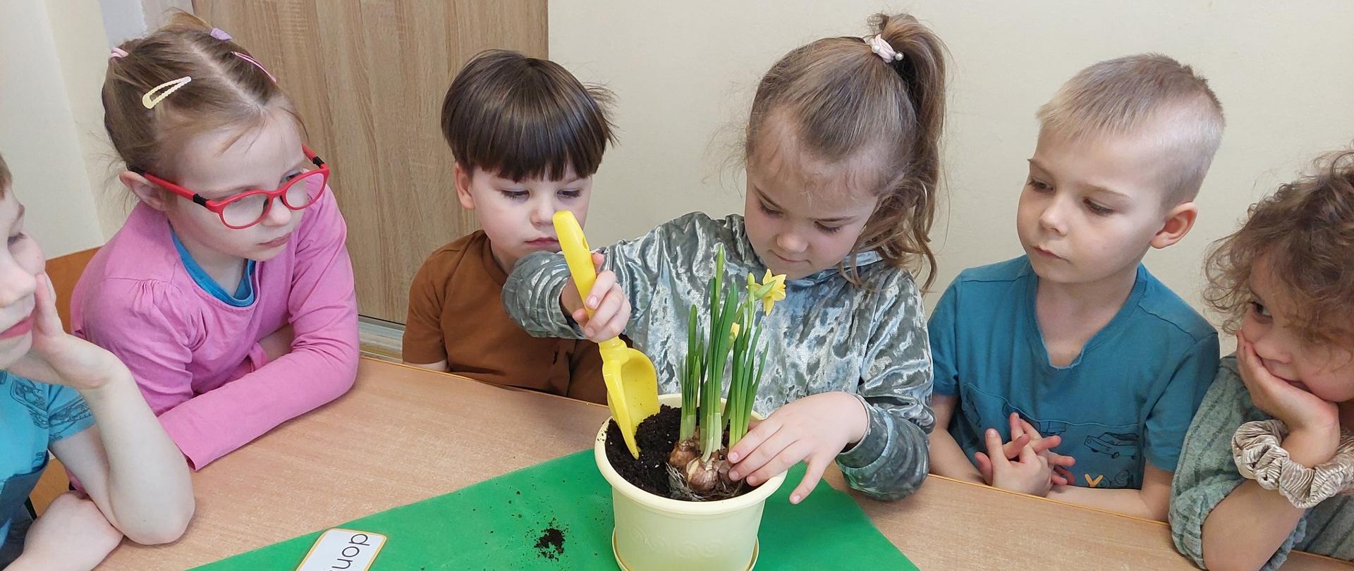 dzieci sadzą kwiatki