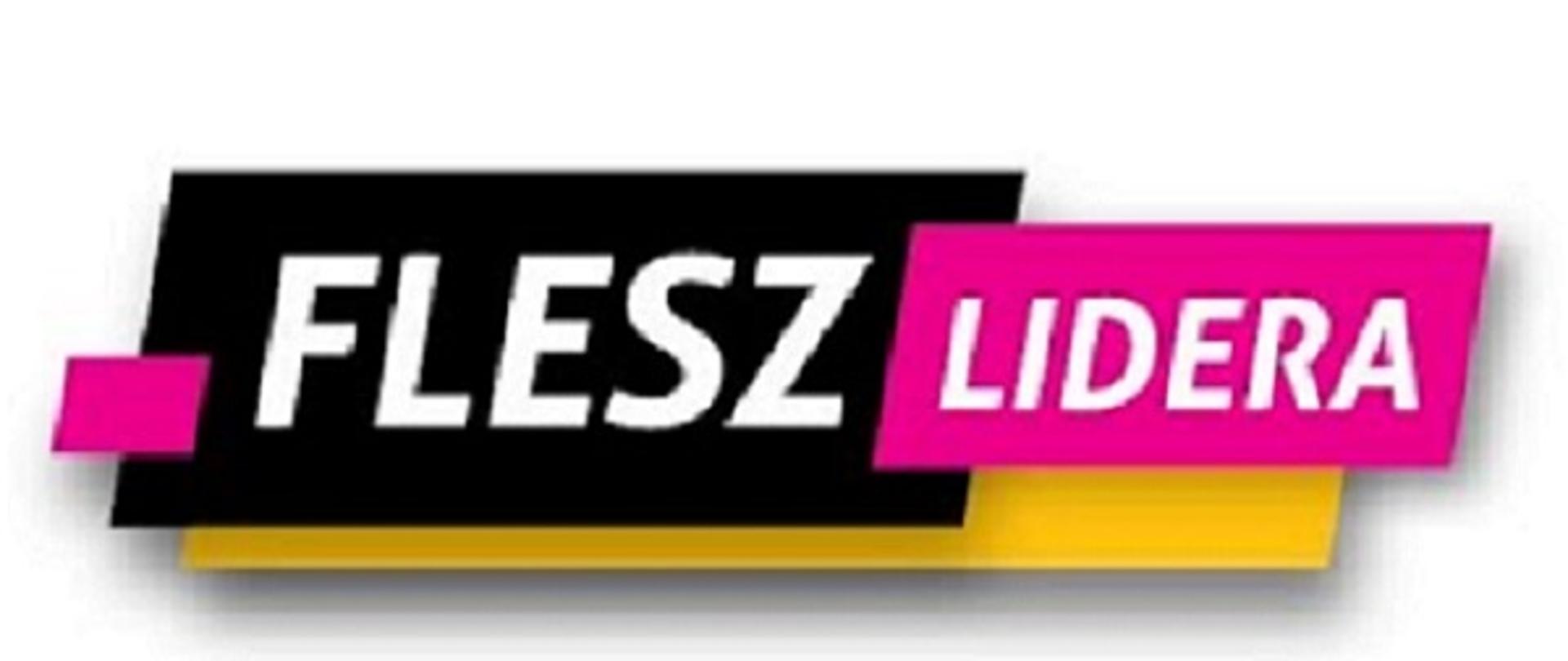 Logo Flesz Lidera