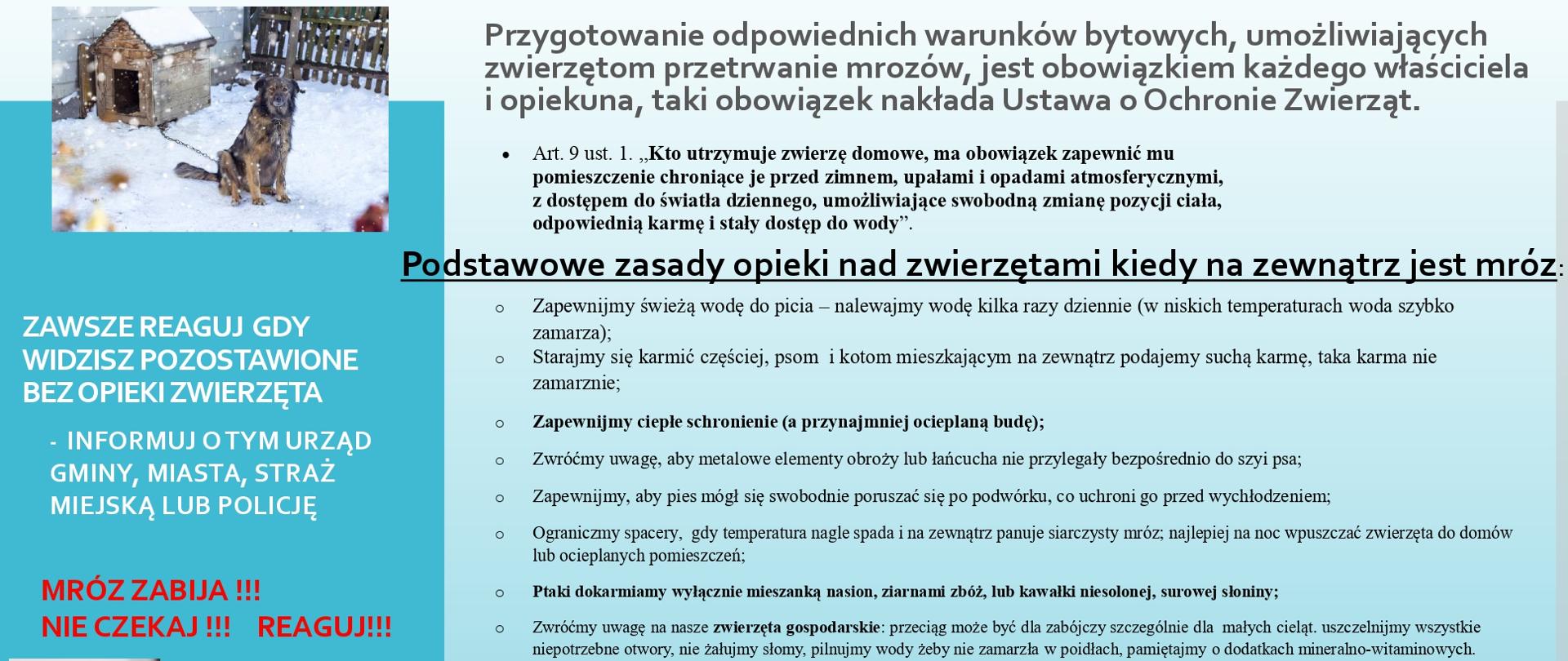Obowiązki właścicieli zwierząt i reagowanie na zagrożenia w okresie zimowym