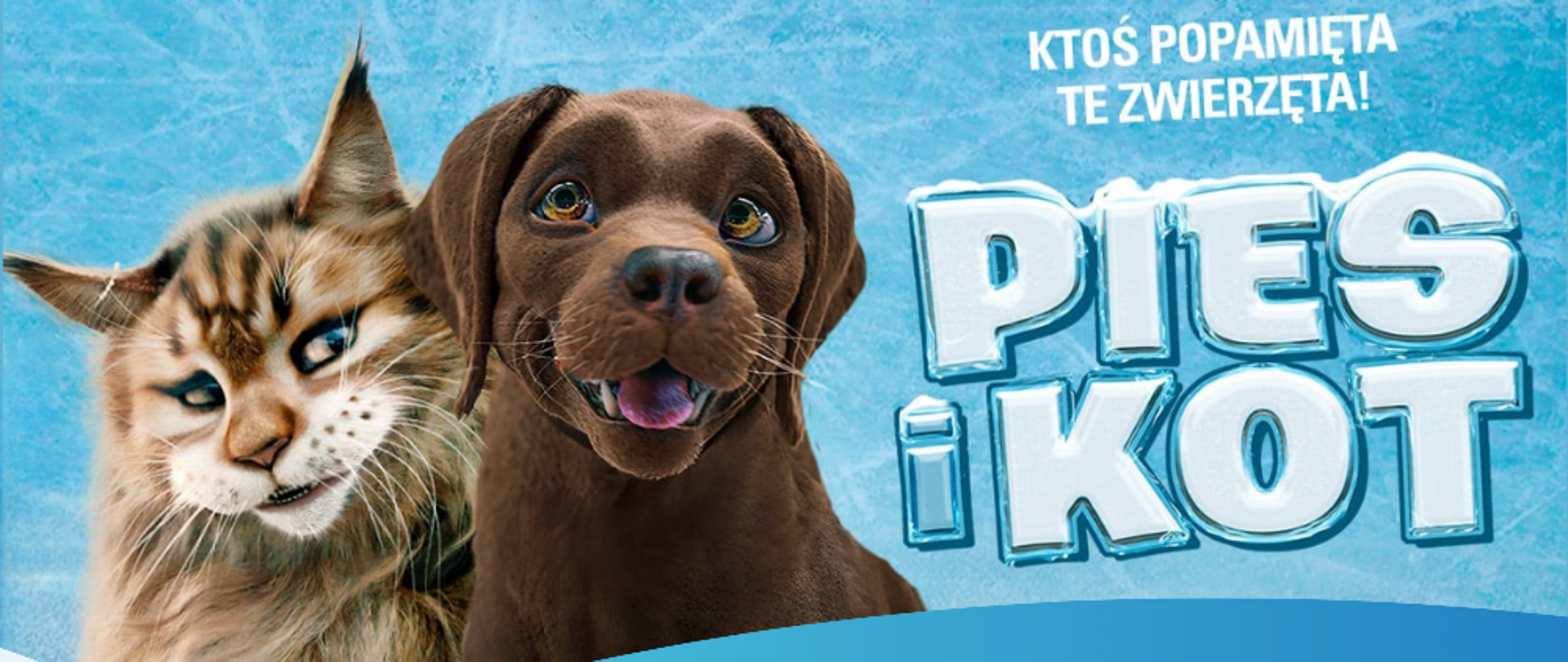Postacie kota i psa. Pies i Kot. Kino plenerowe. 1 czerwca 2024 roku godzina 21 ogródek jordanowski