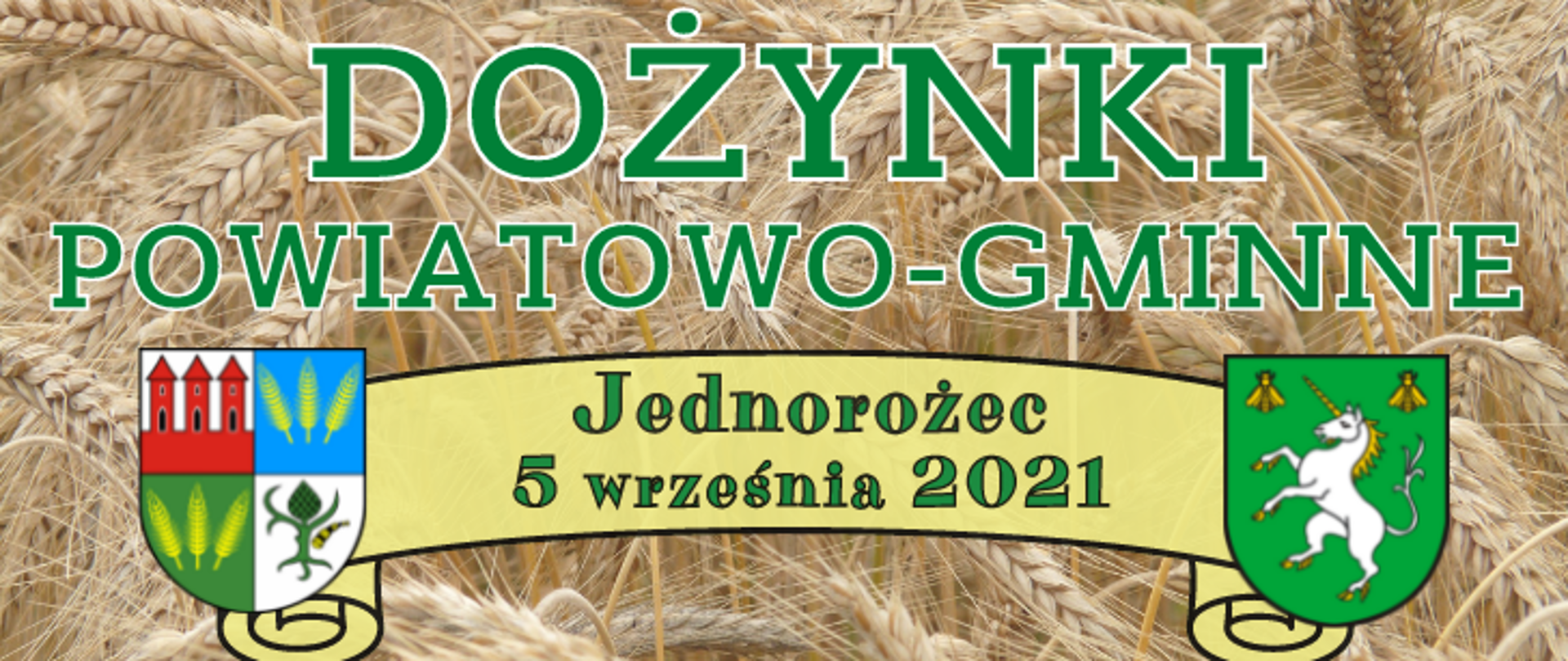 Grafika promująca Dożynki Powiatowo-Gminne w Jednorożcu. W tle złote kłosy zbóż, u góry zielony napis "Dożynki Powiatowo Gminne", poniżej jasnożółta szarfa z zielonym napisem "Jednorożec 5 września 2021" oraz herbami: Powiatu Przasnyskiego po lewej, Gminy Jednorożec po prawej.