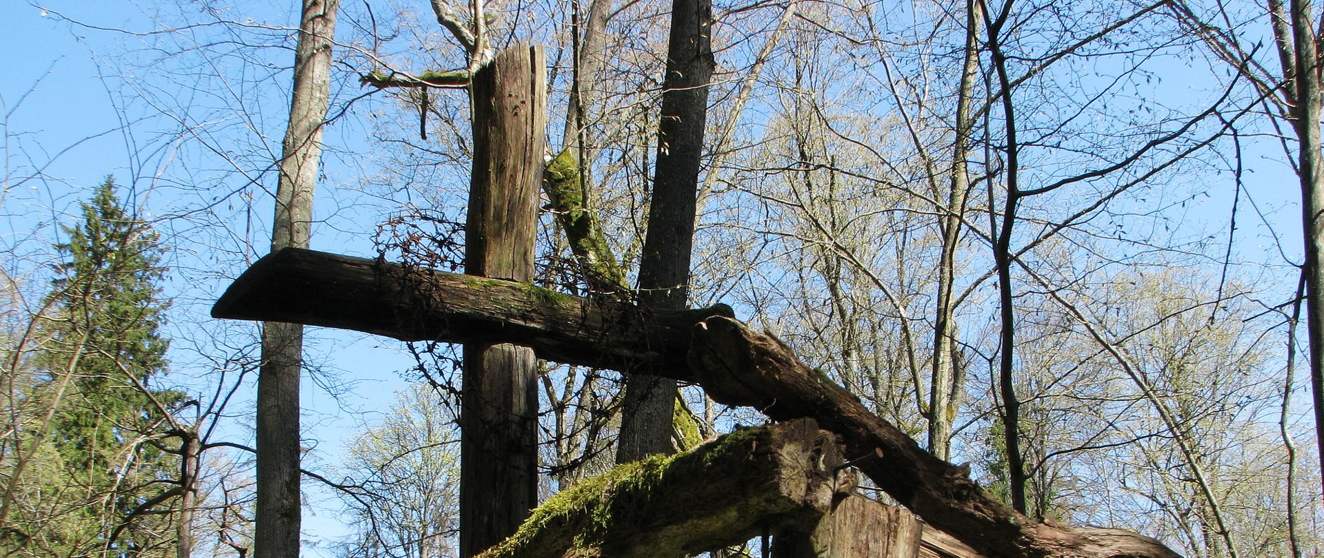 Puszcza Białowieska