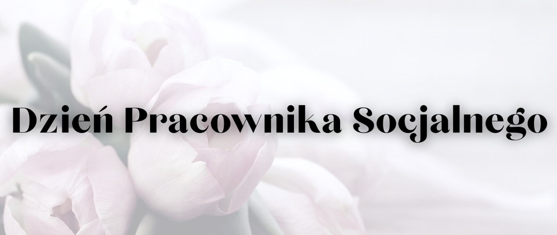 21 listopada Dzień Pracownika Socjalnego