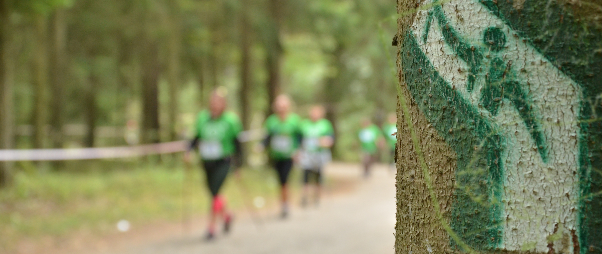 Uczestnicy Pucharu w tle - na pierwszym planie zielone oznakowanie trasy nordic walking