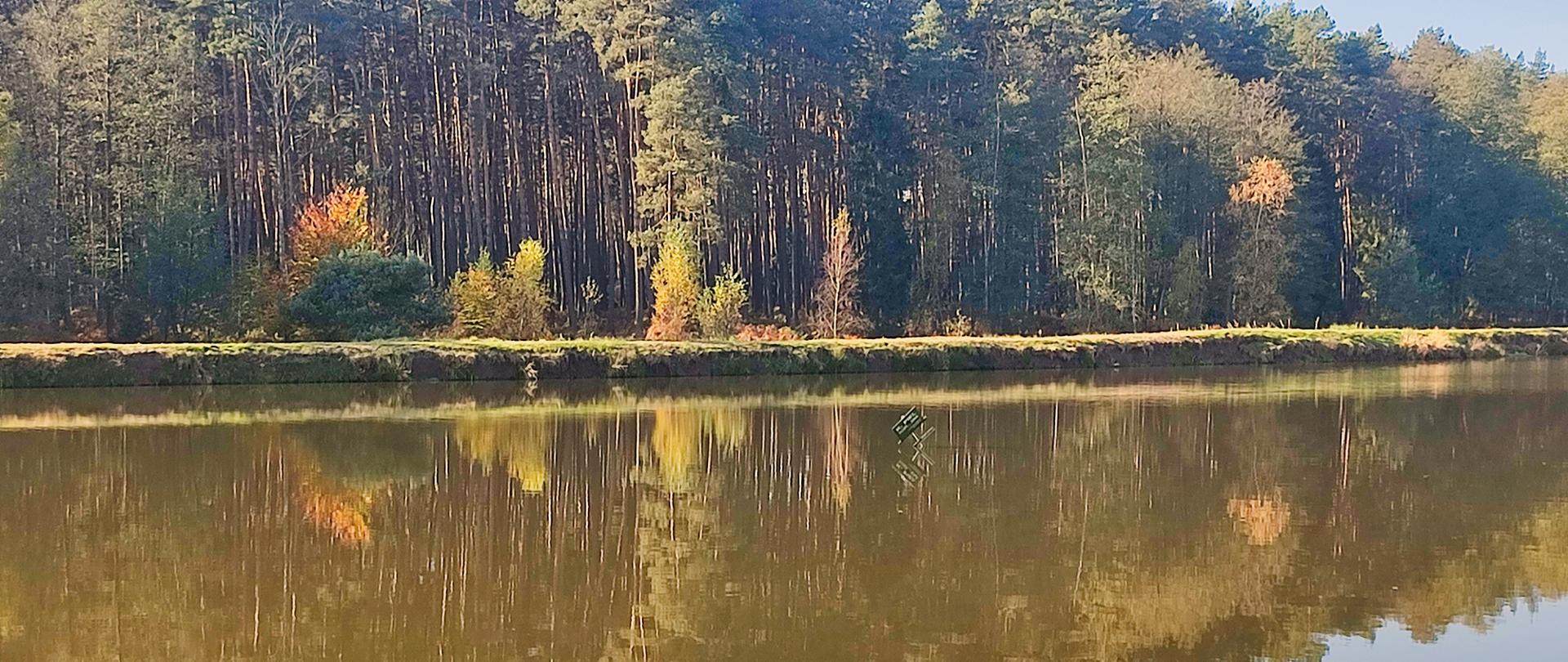 Zbiornik wodny w tle wał i las.