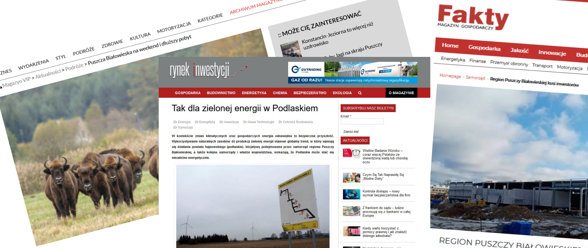 Screeny stron internetowych, na których ukazały się artykuły