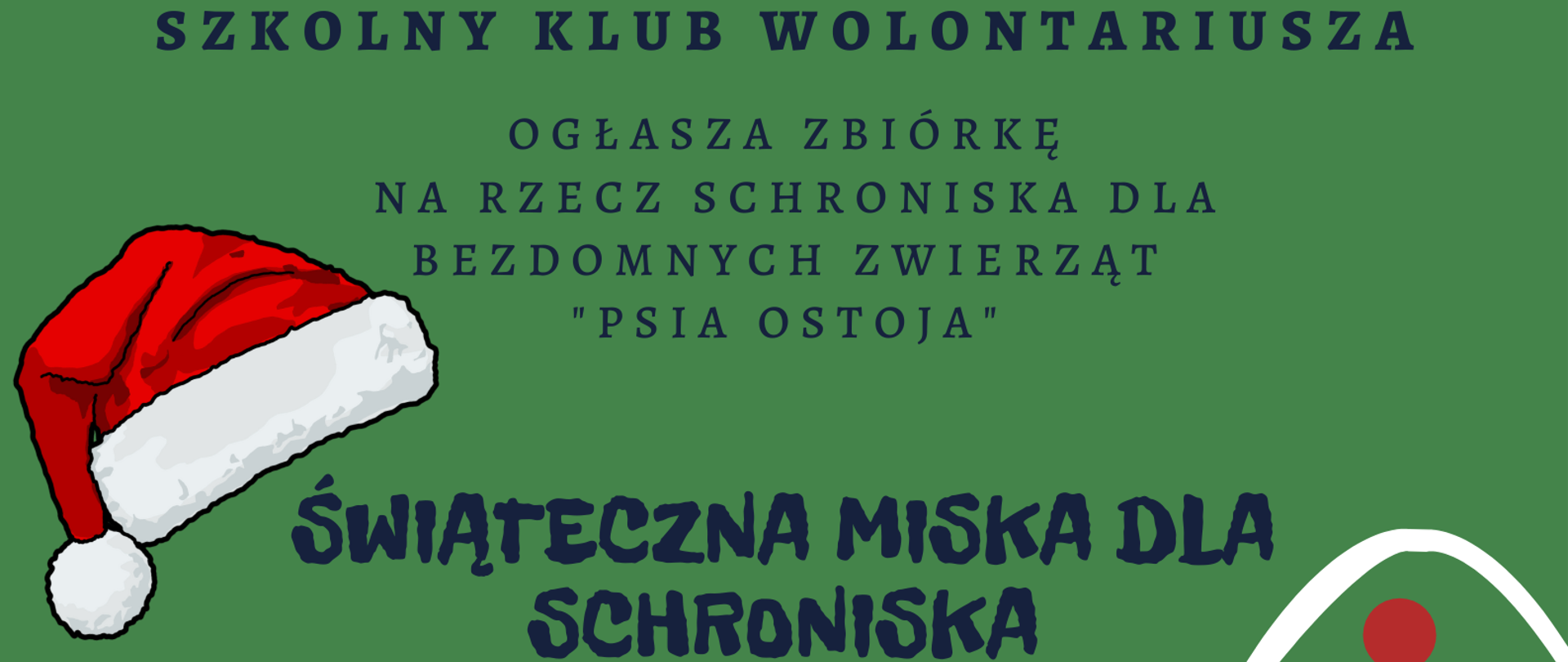 świąteczna miska dla schroniska