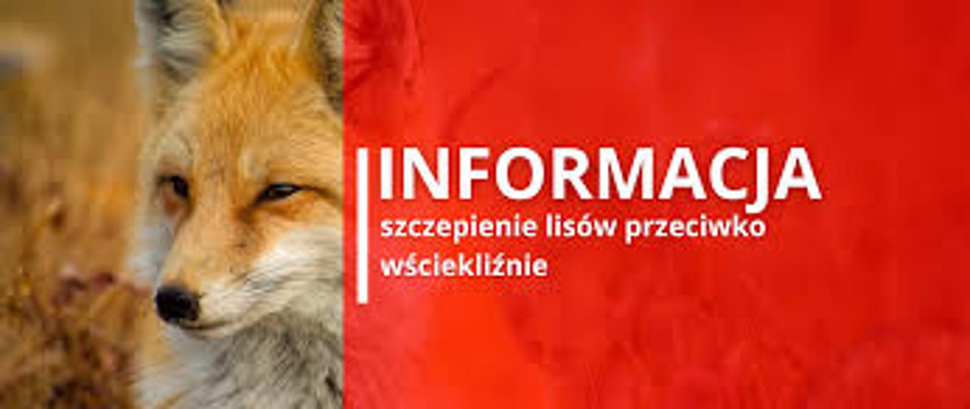 grafika AB
