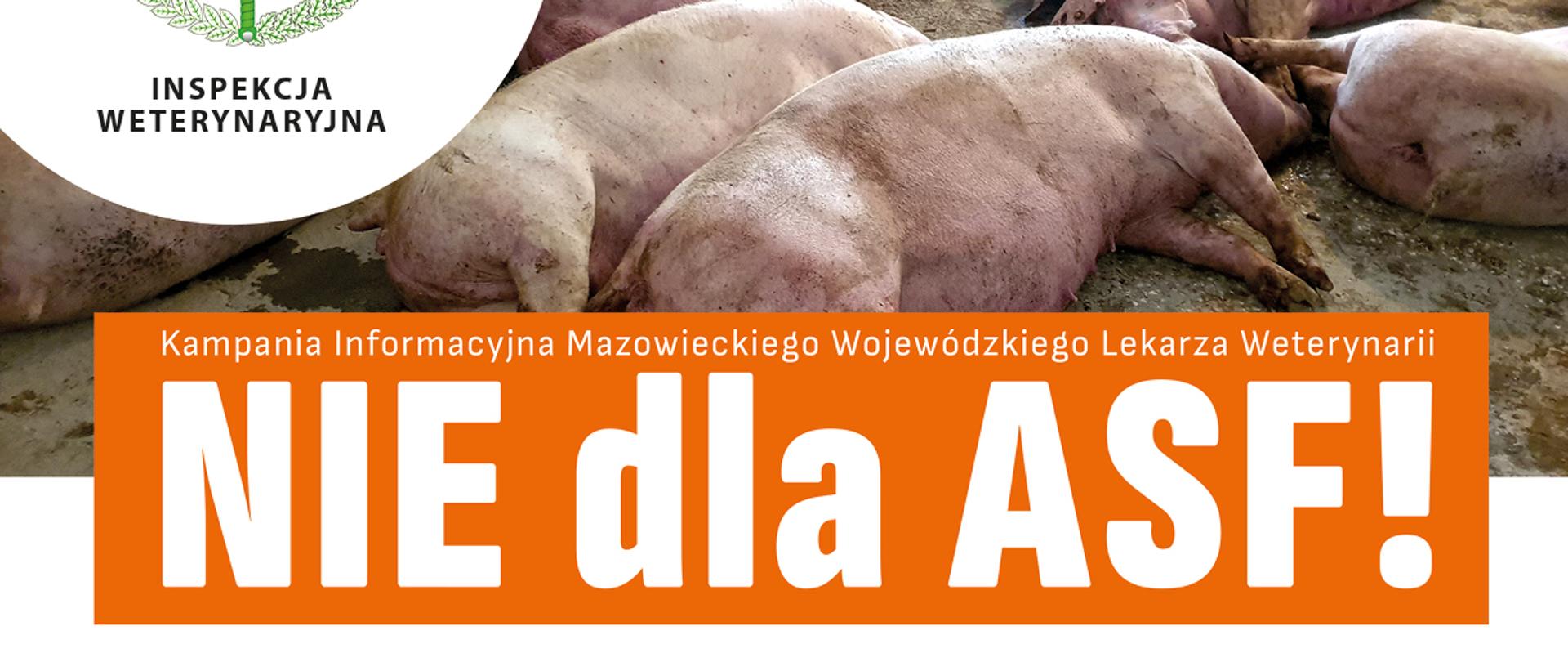 MWLW_INSPEKCJA WETERYNARYJNA - PLAKAT ASF